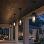 Caged Outdoor Pendant Light | Vintage Porch Lantern, Black or Bronze