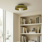 Luminara | Elegant Minimalist Glass Wall and Ceiling Light Fixture 2