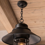 Caged Outdoor Pendant Light | Vintage Porch Lantern, Black or Bronze