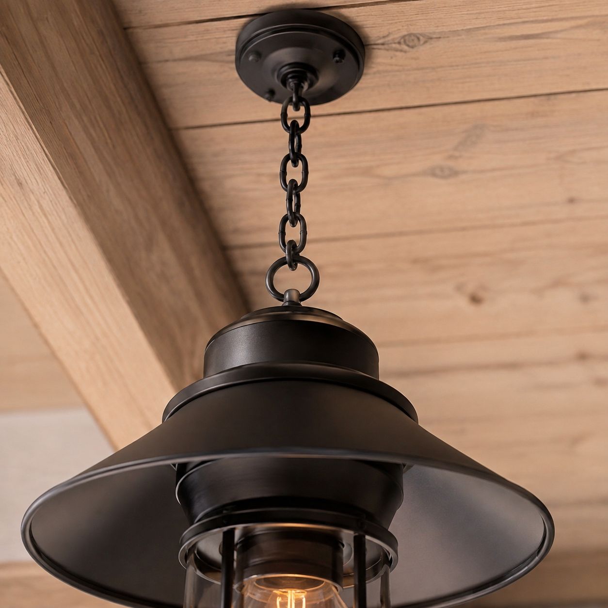 Caged Outdoor Pendant Light | Vintage Porch Lantern, Black or Bronze