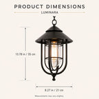 Caged Outdoor Pendant Light | Vintage Porch Lantern, Black or Bronze