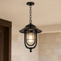 Caged Outdoor Pendant Light | Vintage Porch Lantern, Black or Bronze