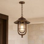 Caged Outdoor Pendant Light | Vintage Porch Lantern, Black or Bronze