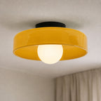 Luminara | Elegant Minimalist Glass Wall and Ceiling Light Fixture