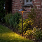 Umbrella path light in a lawn border beside low planting at dusk